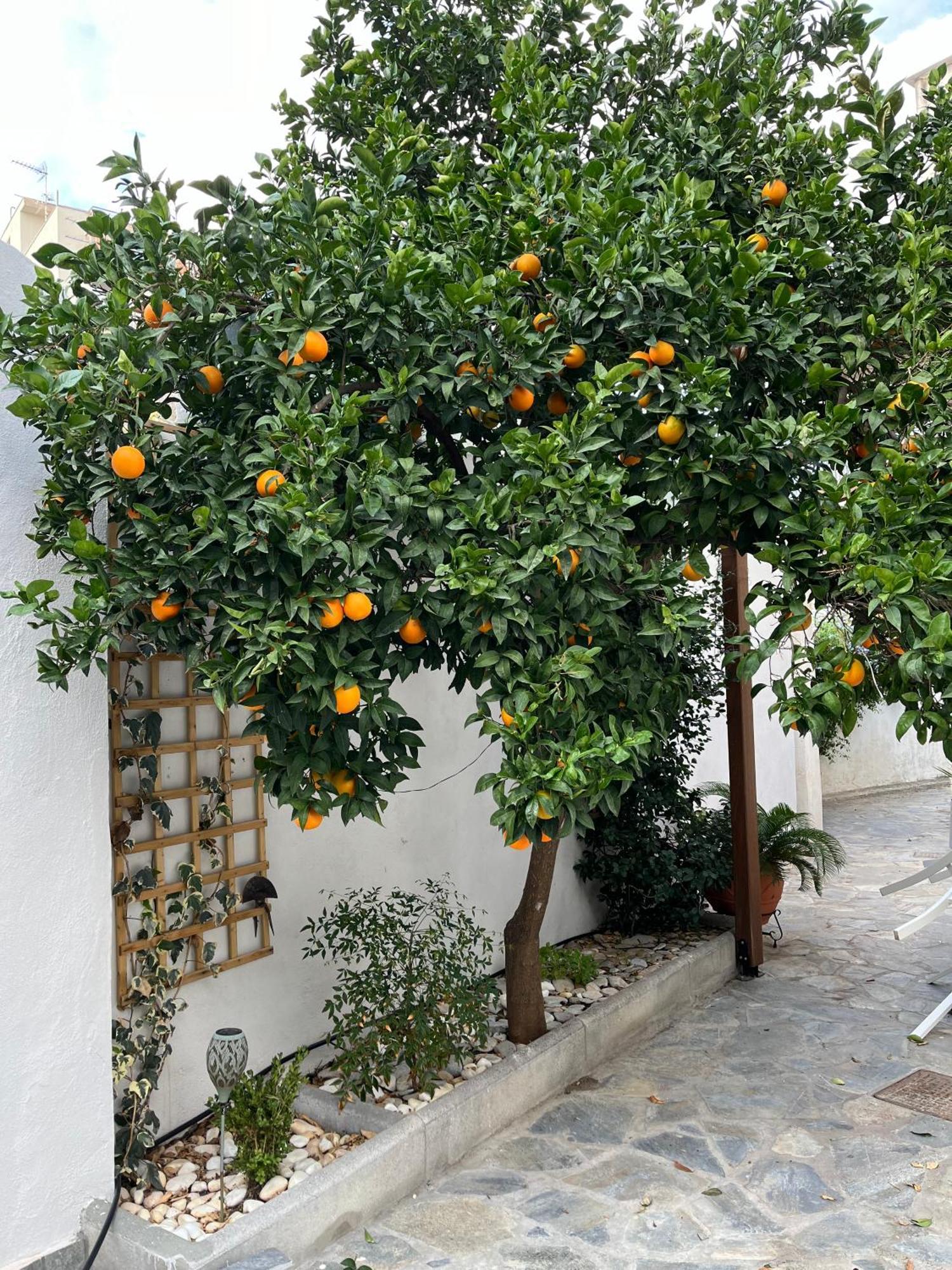 Apartmán Maria'S Jasmine Volos Exteriér fotografie